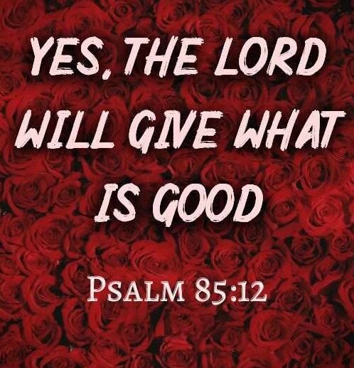 50305 yes the lord will give what is good